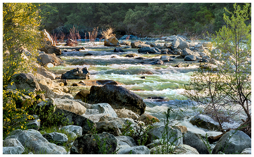 Waves rolling down the Yuba River
