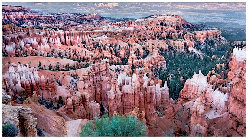 View of the hoodoos in Bryce Canyon