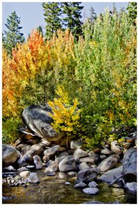 Fall colors in Hope Valley