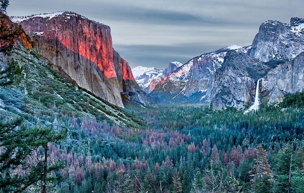 Yosemite Glow