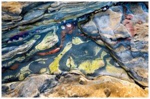 Photograph of a tide pool in Point Lobos State Park. It was low tide and these beautiful rocks and shells were visible. I especially like the eyes peaking out from under the large rock.