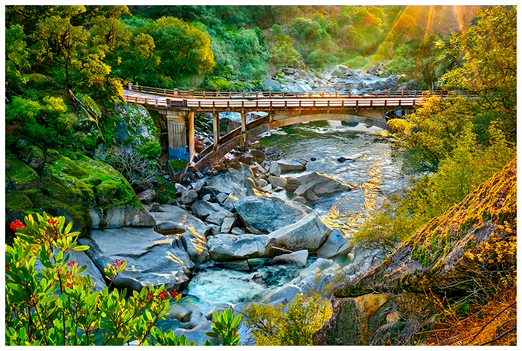 Radiance. View of the 49er pedestrian bridge from the trail to Hoyt's Crossing